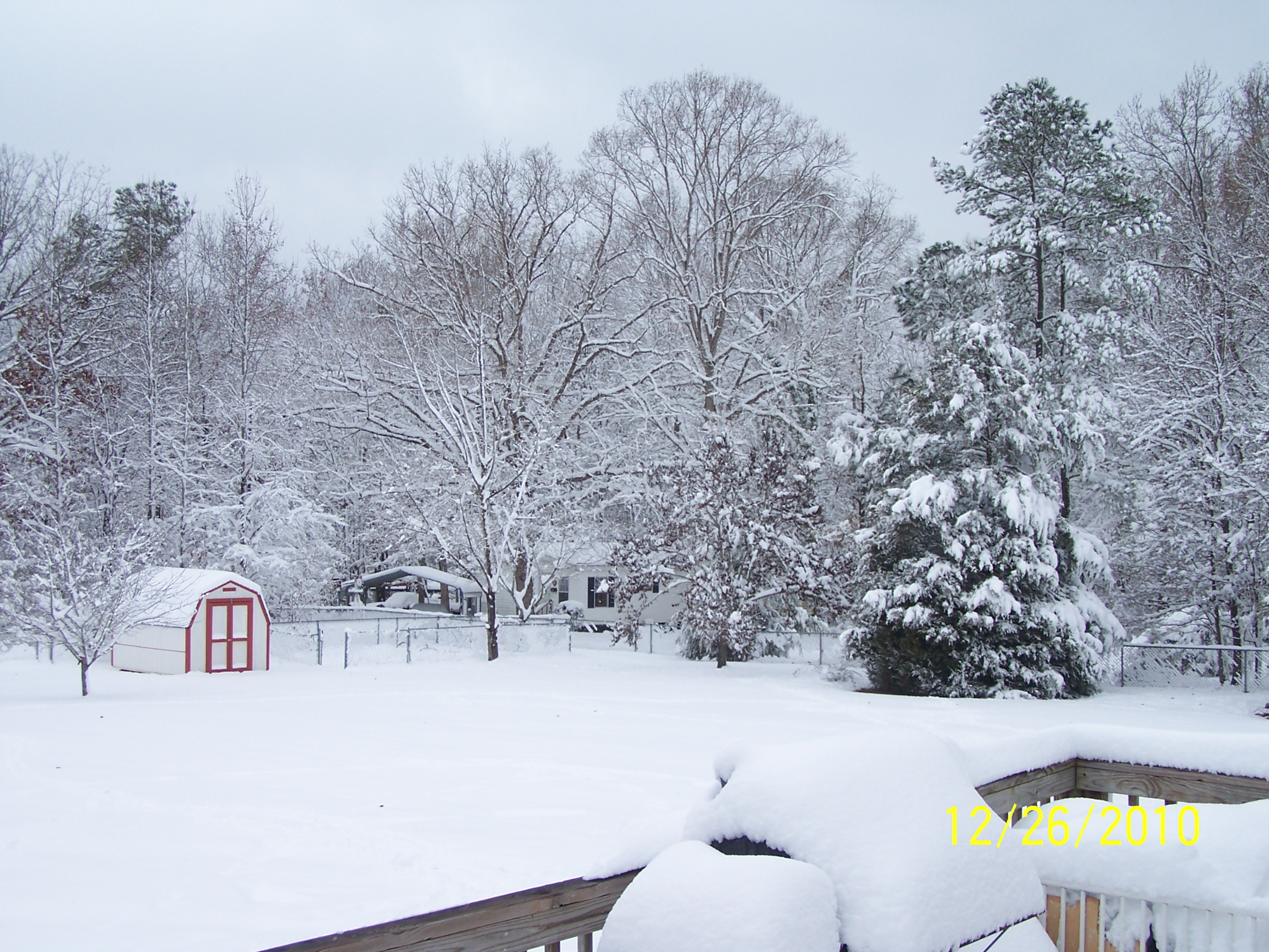 Winter Wonderland Snow Days In North Carolina